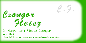 csongor fleisz business card